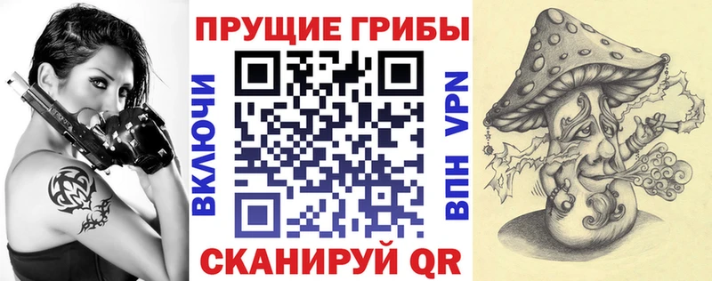 Псилоцибиновые грибы Psilocybine cubensis  где купить наркоту  мориарти формула  Лукоянов 